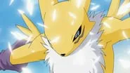 03 Guilmon contra Renamon – Los Digimons viven para luchar